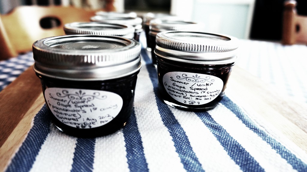 The Final product - Dark Grape Goo - A Spread Julie Trubkin's 7 Cans of Wine Grapes.